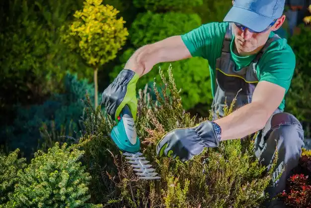 landscaping services La Belle